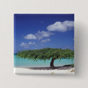 Badge Carré 5 Cm Caraïbes, Aruba. Plage Eagle