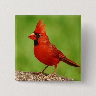 Badge Carré 5 Cm Cardinal