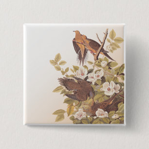 Badge Carré 5 Cm Carolina Pigeon ou Dove en deuil