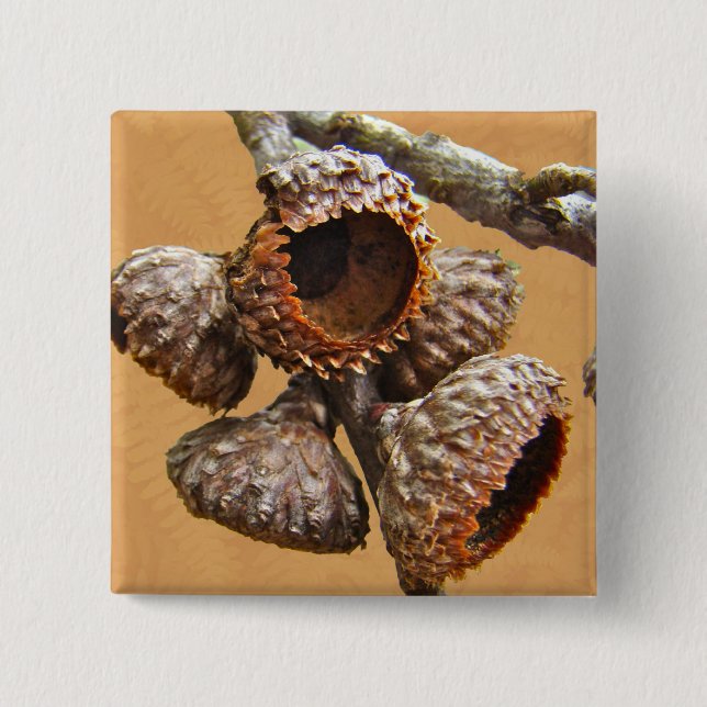 Badge Carré 5 Cm Casquettes de chêne Acorn (Devant)