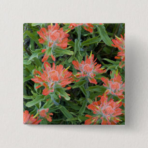 Badge Carré 5 Cm Castilleja des Indiens fleurs sauvages dans les Ma