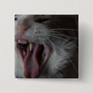 Badge Carré 5 Cm Cat Yawning