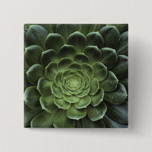 Badge Carré 5 Cm Centre de cactus
