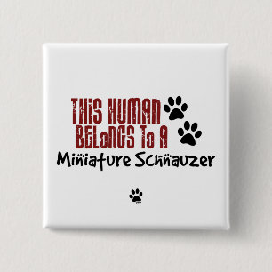 Badge Carré 5 Cm Cet humain appartient à un Schnauzer miniature