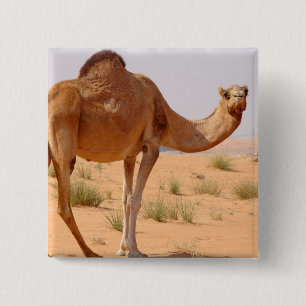 Badge Carré 5 Cm Chameau pour le Pin carré d'Arabes