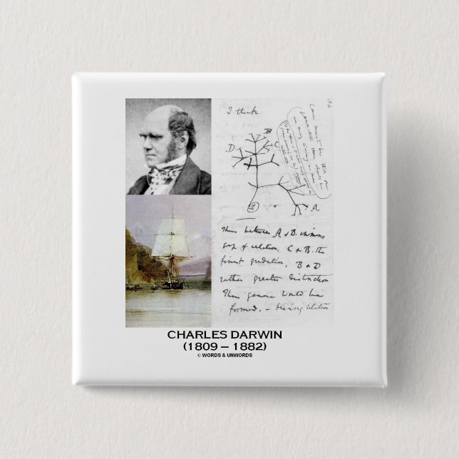 Badge Carré 5 Cm Charles Darwin (beagle Phylogenetics de voie HMP (Devant)