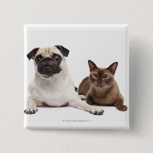 Badge Carré 5 Cm Chat carlin et birman