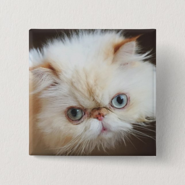 Badge Carré 5 Cm Chat dans une boîte (Devant)