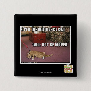 Badge Carré 5 Cm Chat de désobéissance civile