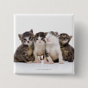 Badge Carré 5 Cm chat japonais