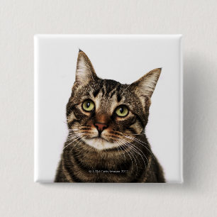 Badge Carré 5 Cm Chat sur arrière - plan blanc 2
