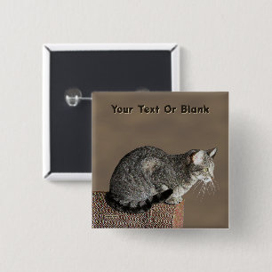 Badge Carré 5 Cm Chat Tabby Gris Fumé