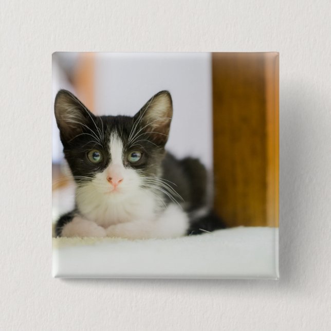 Badge Carré 5 Cm Chaton blanc et noir doux (Devant)
