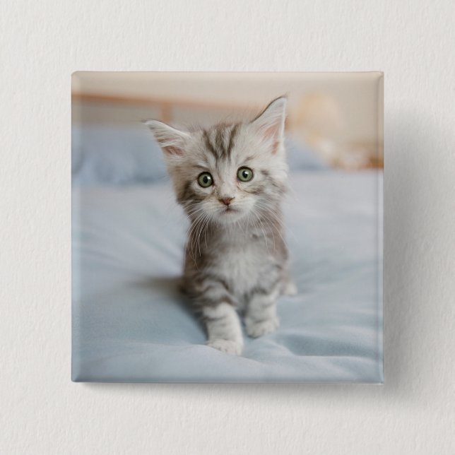 Badge Carré 5 Cm Chaton de ragondin du Maine (Devant)