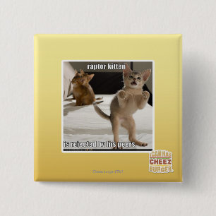Badge Carré 5 Cm Chaton de Raptor