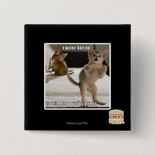 Badge Carré 5 Cm Chaton de Raptor