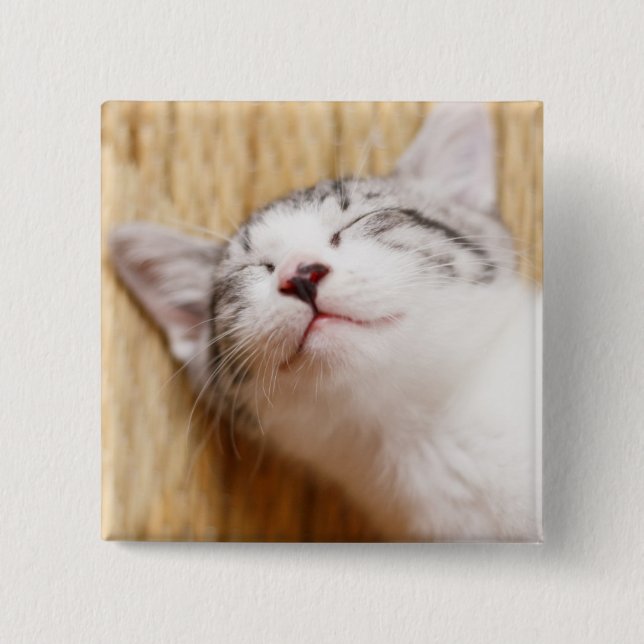 Badge Carré 5 Cm Chaton de sommeil (Devant)