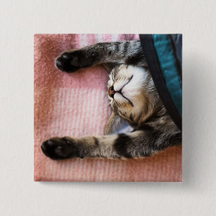 Badge Carré 5 Cm Chaton de sommeiller