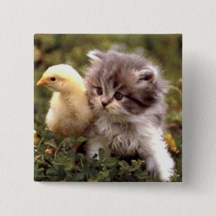 Badge Carré 5 Cm Chaton et poussin de bébé