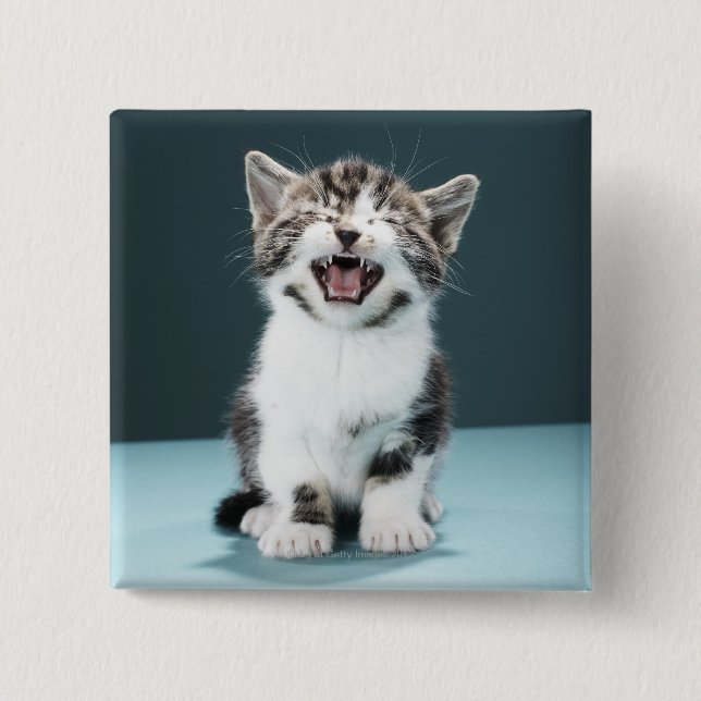 Badge Carré 5 Cm Chaton meowing (Devant)