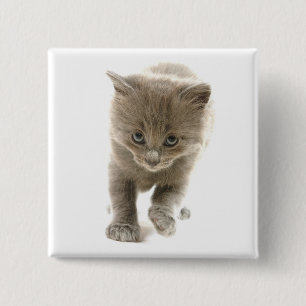 Badge Carré 5 Cm chaton mignon