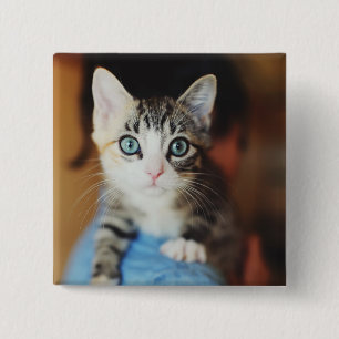 Badge Carré 5 Cm Chaton observé par bleu lumineux
