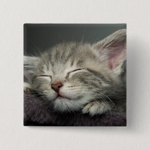 Badge Carré 5 Cm Chaton somnolent