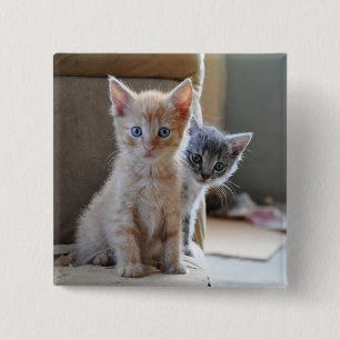 Badge Carré 5 Cm Chatons curieux