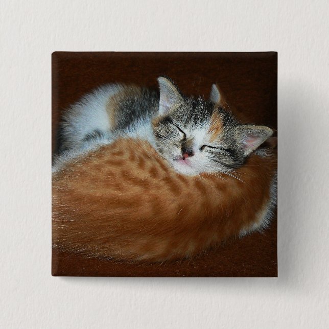 Badge Carré 5 Cm Chatons doux dorés (Devant)