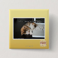Chats de Lol avec USB