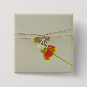 Badge Carré 5 Cm Checkered Setwing (Dythemis fugax) sur Mexicain