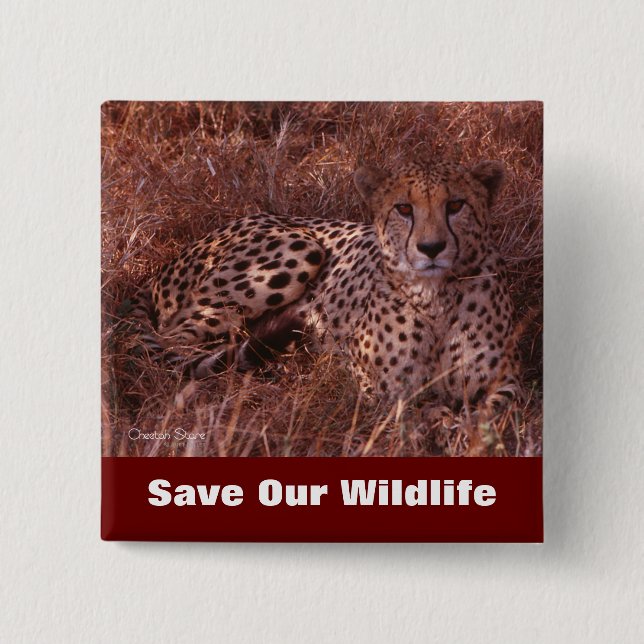 Badge Carré 5 Cm Cheetah Stare Sauvez Notre Faune (Devant)