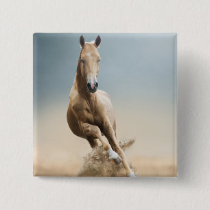 Badge Carré 5 Cm Cheval d'Akhal-Teke