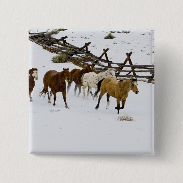 Badge Carré 5 Cm Chevaux courant dans la neige (Devant)