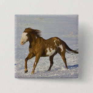 Badge Carré 5 Cm Chevaux courant dans la neige