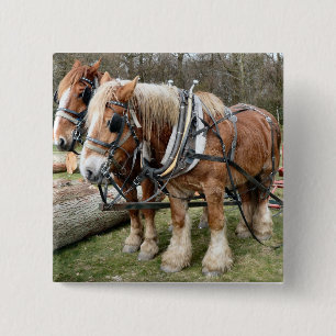 Badge Carré 5 Cm Chevaux de Shire