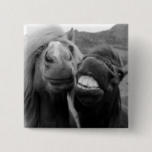 Badge Carré 5 Cm Chevaux de sourire des images   de Getty
