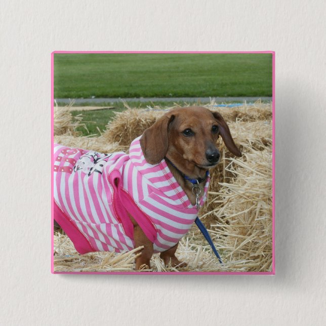 Badge Carré 5 Cm Chien de teckel (Devant)