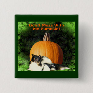 Badge Carré 5 Cm Chien Protègeant une Grande Citrouille Halloween