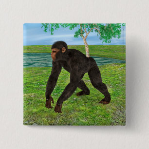 Badge Carré 5 Cm Chimpanzé