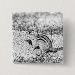 Badge Carré 5 Cm Chipmunk Sketch