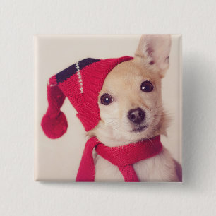 Badge Carré 5 Cm Chiwawa dans le casquette d'hiver