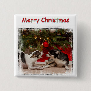 Badge Carré 5 Cm Chiwawa de Noël