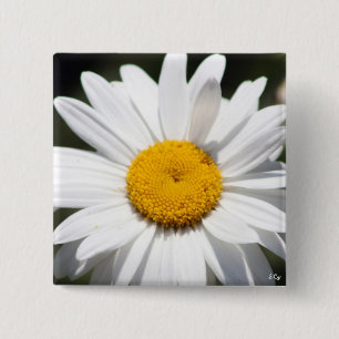 Badge Carré 5 Cm Chouchou de marguerite