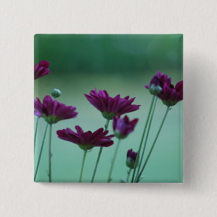 Badge Carré 5 Cm Chrysanthème et signification
