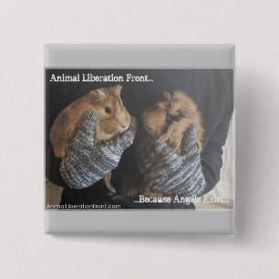 Badge Carré 5 Cm Cobayes libres