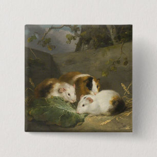 Badge Carré 5 Cm Cochons d'Inde (par George Morland)