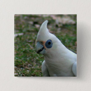 Badge Carré 5 Cm Cockatoo bleu