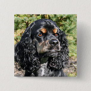 Badge Carré 5 Cm Cocker Spaniel