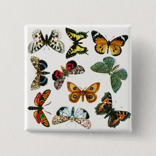 Badge Carré 5 Cm Collage des papillons de nuit et des papillons de 